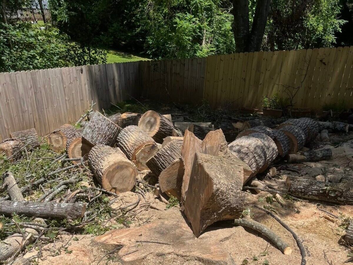 Large logs sectioned on the ground in backyard — 316 Tree Services