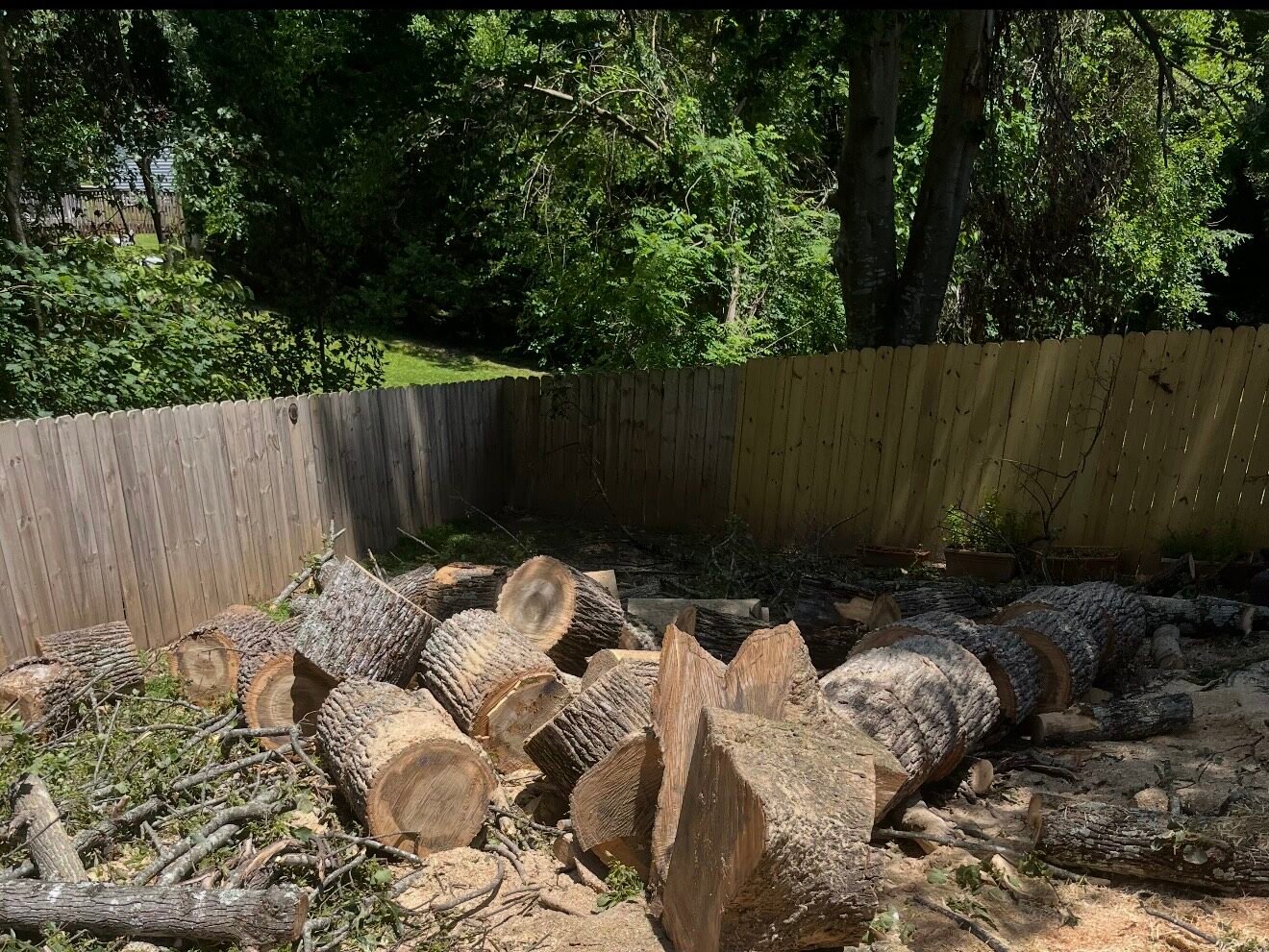 Tree removal and log cutting service High Point NC