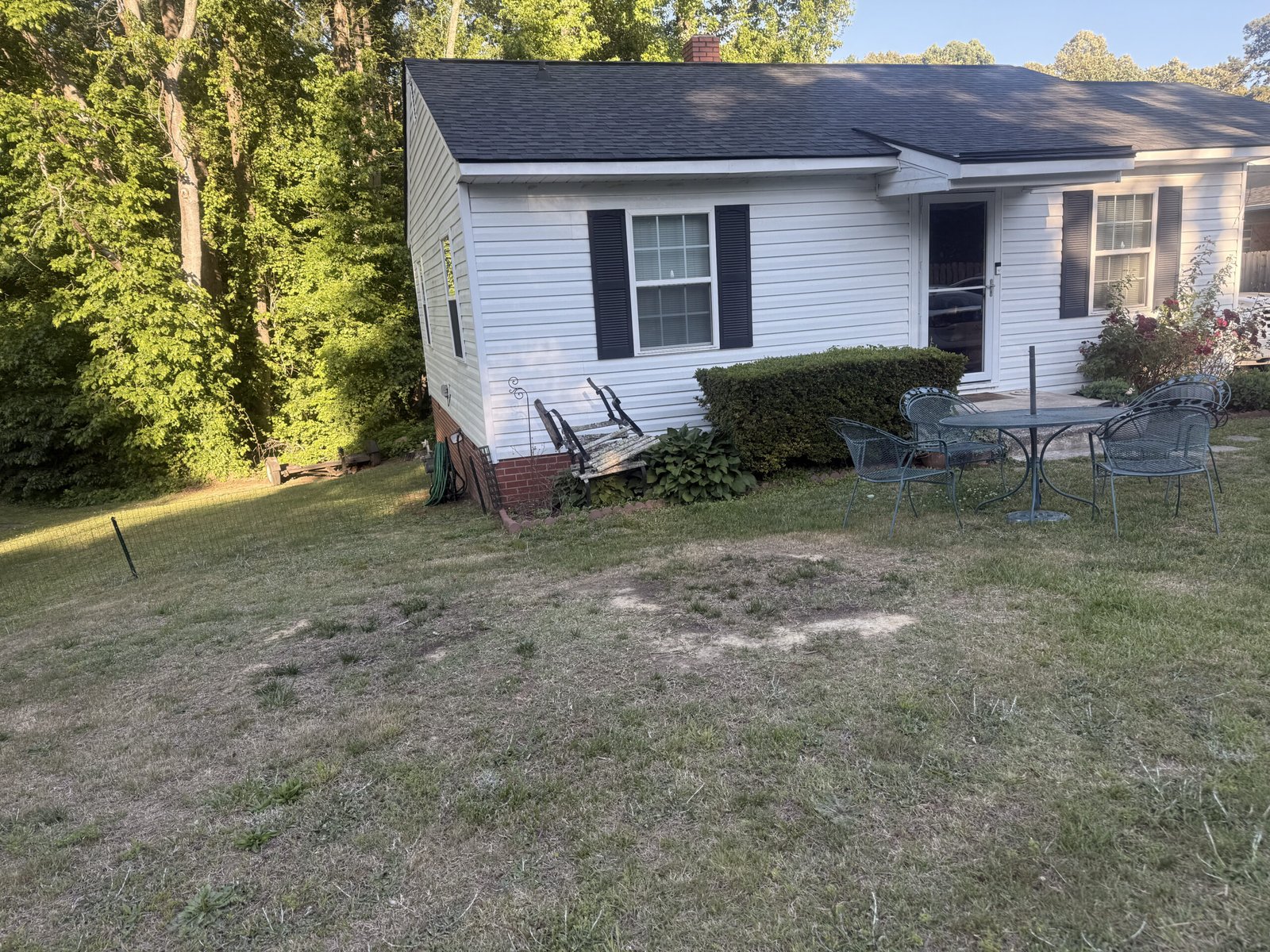 Large pine removal aftermath