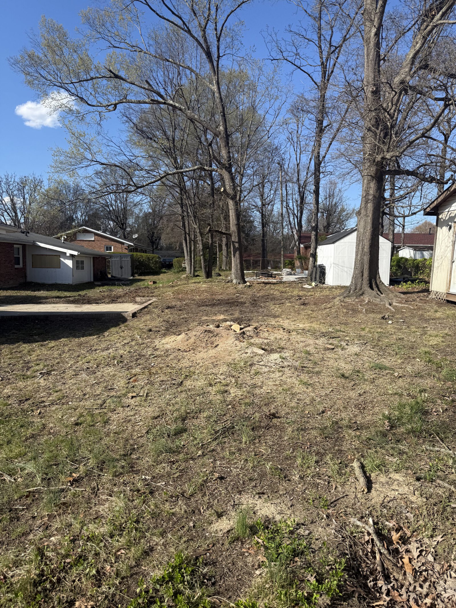Large tree removal Greensboro NC after