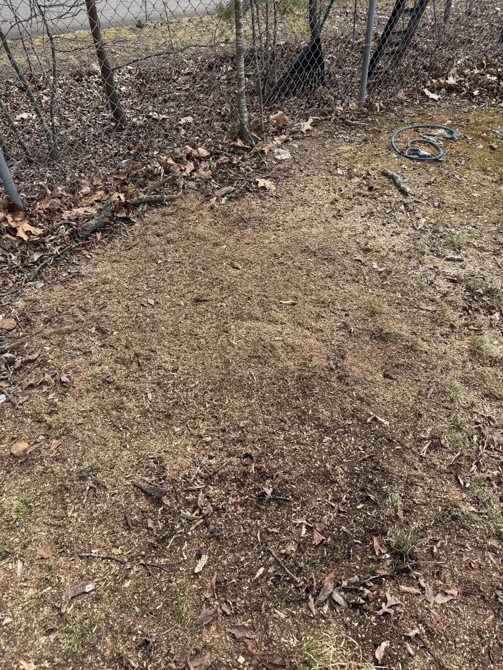 Stump grinding Winston-Salem NC after