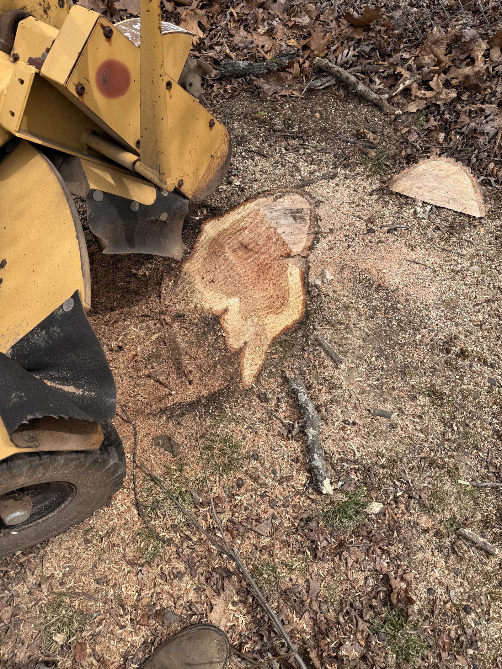 Stump grinding Winston-Salem NC before